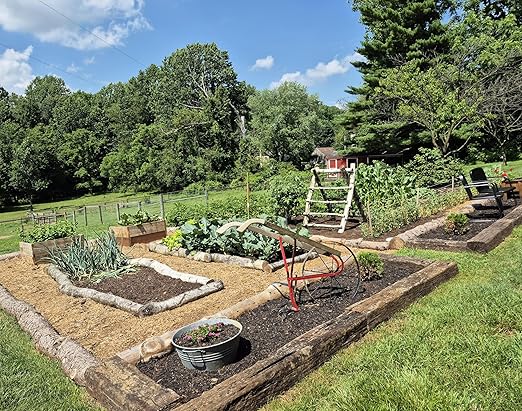 Boron 20 Pound Fertilizer for Plants – Natural Micronutrient Soil Amendment for Fruits, Vegetables, and Crops – Lancaster Ag Products