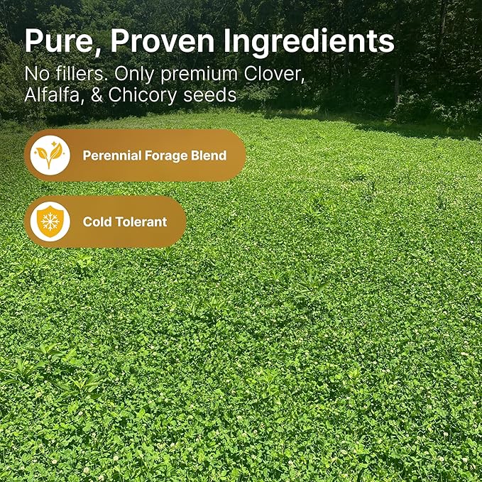HIT LIST SEED® Alfalfa + Clover Food Plot Seeds for Deer [Perennial] - Food Plot Seed Perennial - Deer Plot Seed Mix - Ladino/Red/Crimson Clover, Alfalfa, Chicory - Spring & Fall Planting - 5 lbs