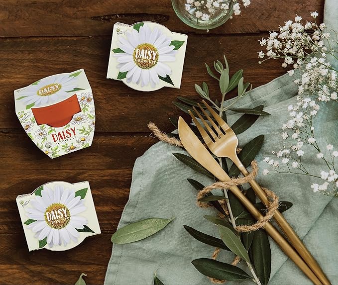 BUZZY Seeds Daisy Daydream Collection Mini Terracotta Grow Pots 6-Pack, All-in-One Starter Kit with Seed Packs and Growing Medium, Wedding Favors, Gardening Gifts, Garden Parties