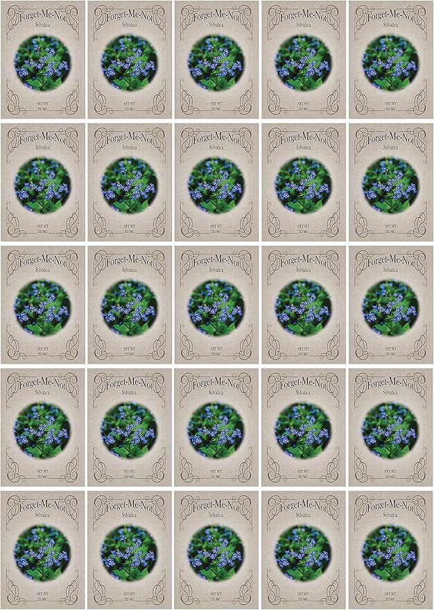 Black Duck Brand Set of 25 Packs of Forget-Me-Not Flower Seed Packets! Flower Seeds in Bulk - Great for Creating The Garden of Your Dreams! (25, Forget-Me-Not Blue)