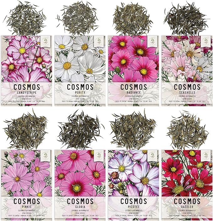Seed Needs, Cosmos Seed Packet Variety Pack Collection (8 Individual Cosmos Wildflowers for Planting) Heirloom & Open Pollinated