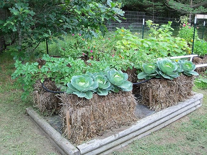 BaleBuster4 Four Bale Conditioning Formula for Preparation of a Straw Bale Garden for Planting a Vegetable Garden