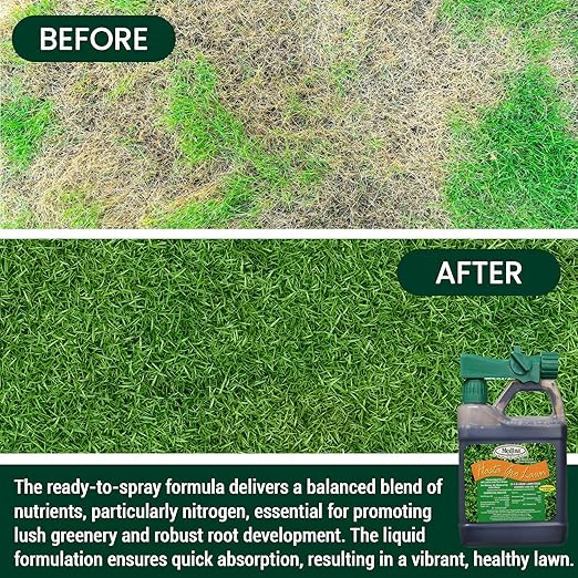 Medina HastaGro Liquid Lawn Fertilizer - 12-4-8 Liquid Fertilizer for Lawns, Ready to Spray Grass Fertilizer for Lawn Care, Lawn Food for Vibrant Green Lawns, 1 Qt - Treats Up to 4000 Sq Ft
