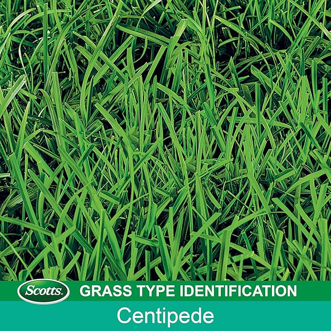 Scotts Turf Builder Centipede Grass Seed & Mulch, Grows a Thick, Low-Maintenance Lawn, 5 lbs.