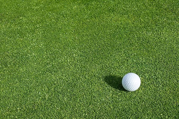 Creeping BentGrass Seeds, 1 Pound