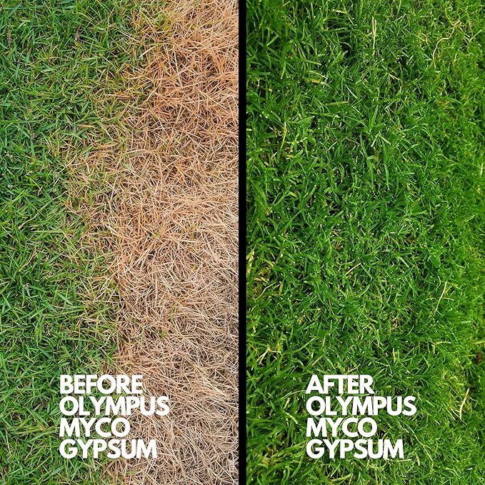97% Pure Gypsum Powder, 1 lb – High Solubility Calcium Sulfate Dihydrate for Soil, Gardens, Lawns, and Mushroom Substrate