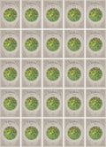 Black Duck Brand Set of 25 Packs of Wildflower Seed Packets! Flower Seeds in Bulk - Great for Creating The Garden of Your Dreams! (25, Wildflower Mix)