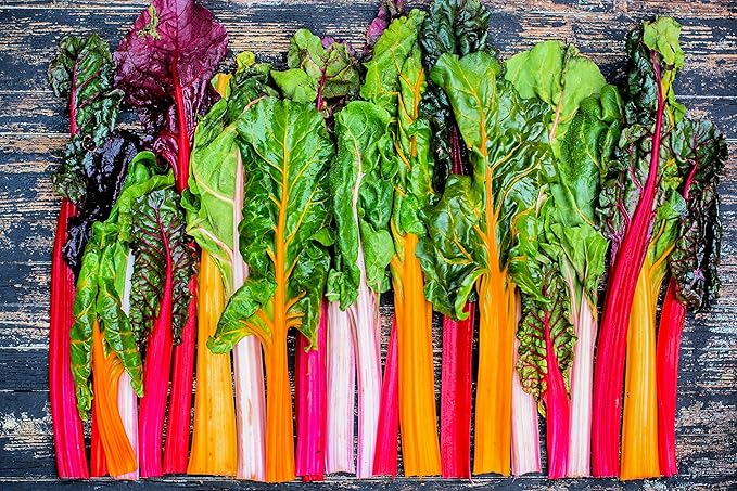 Bright Lights Swiss Chard Seeds for Planting - 200+ Seeds - Rare Colorful Garden Vegetable Seeds
