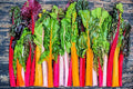 Bright Lights Swiss Chard Seeds for Planting - 200+ Seeds - Rare Colorful Garden Vegetable Seeds