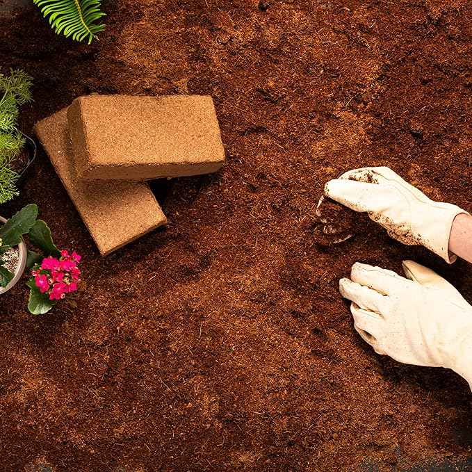 Coco Coir 650gm Bricks (6-Pack) - Organic Coco Coir for Plants & Gardening - OMRI-Listed Cocopeat for Garden Soil, Seed Starter Soil, & Mulch - Coconut Coir Bricks - Coconut Fiber Potting Mix