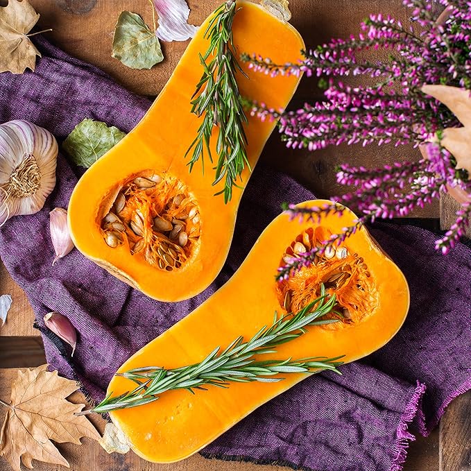The Old Farmer's Almanac Heirloom Winter Squash Seeds (Waltham Butternut) - Approx 40 Seeds - Non-GMO, Open Pollinated, USA Origin