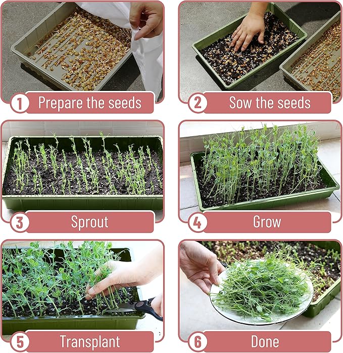 Mr. Pen-Plastic Growing Trays, 5 Pack, Plant Tray, Seed Tray, Propagation Tray