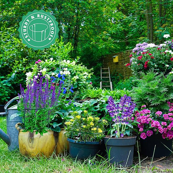 Plant Supports Stakes 6PCS, Half Round Metal Garden Stakes Plant Support For Peony Cages and Supports,Green Plant Support Ring Border for Outdoor Indoor Plants, Hydrangea (10" W x 16" H, 6 PCS)