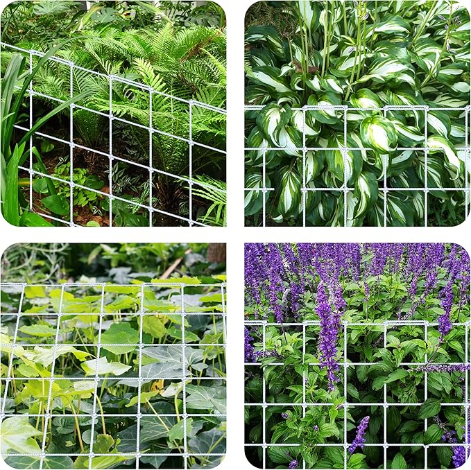 iPower 3' x 3' Grow Room Trellis Netting for 47"x47" Room, Heavy-Duty Elastic Plant Net with Hooks, Flexible Hydroponics Support for Climbing Plants, Vegetables, Fruits, Flowers, Vines (Pack of 2)