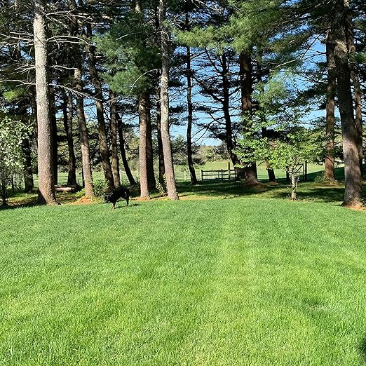 Purely Organic Products Lawn Food 10-0-2, 25 LB (Covers 6,250 Square Feet)