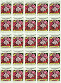 Black Duck Brand Set of 25 Sweet William Single Mix Flower Seed Packets! Flower Seeds in Bulk - Great for Creating The Garden of Your Dreams! (25, Sweet William - Single Mix)