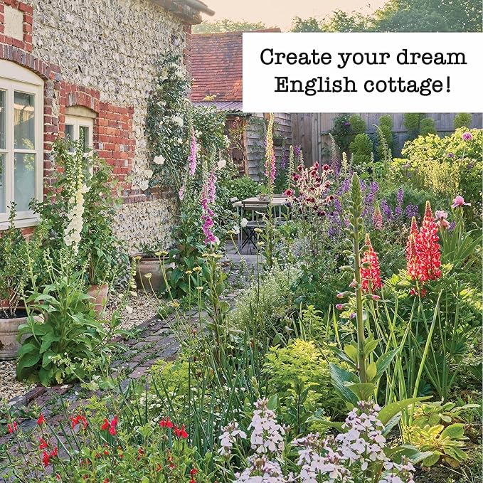 Ferry-Morse English Cottage Perennial Garden Seed Variety Pack - 7 Pack