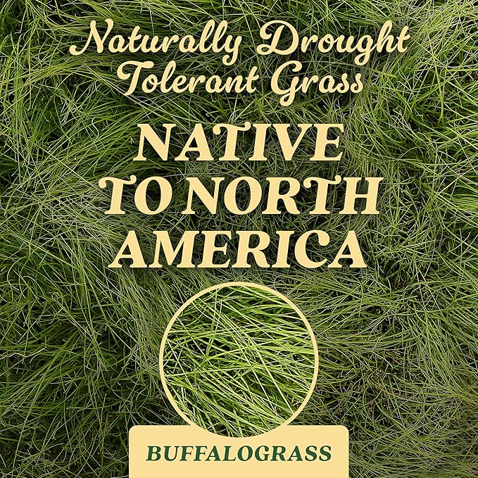 O.M. Scott and Sons Buffalograss Seed, Naturally Drought Tolerant Native Grass Seed, 350 sq. ft., 0.7 lb.