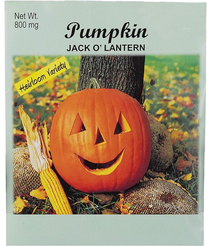 Set of 25 Jack o' Lantern Pumpkin Vegetable Seed Packs - 100% GMO Free - Heirloom - Black Duck Brand (25, Pumpkin- Jack O' Lantern)