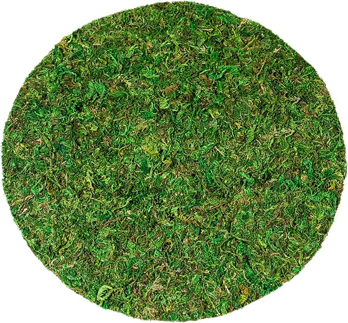 SuperMoss (26310) Moss Soil Toppers (Place Mats), Fresh Green, 10" (3 units)