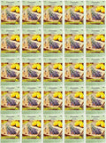 Black Duck Brand Set of 25 Lavender Flower Seed Packets! Flower Seeds in Bulk - Great for Creating The Garden of Your Dreams! (25, Lavender)