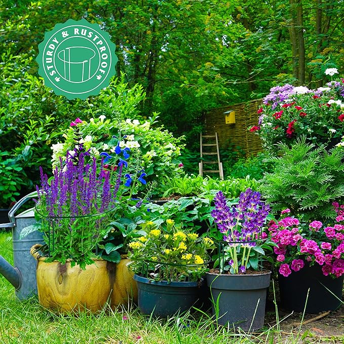 Plant Supports Stakes 6PCS, Half Round Metal Garden Stakes Plant Support for Peony Cages and Supports,Green Plant Support Ring Border for Outdoor Indoor Plants (10" W x 16" H, 6 PCS)