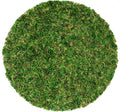 SuperMoss (26320) Moss Soil Toppers (Place Mats), Fresh Green, 14" (3 units)