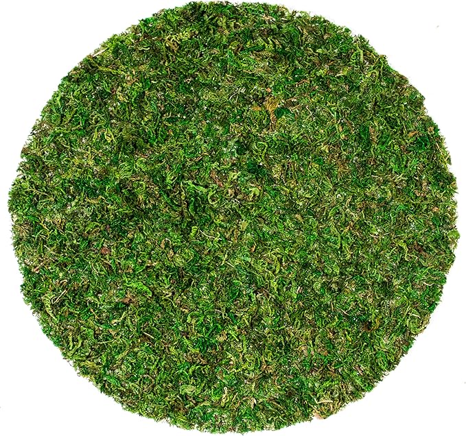 SuperMoss (26320) Moss Soil Toppers (Place Mats), Fresh Green, 14" (3 units)