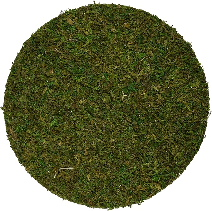 SuperMoss (26300) Moss Soil Toppers, Fresh Green, 6" (3 Units)